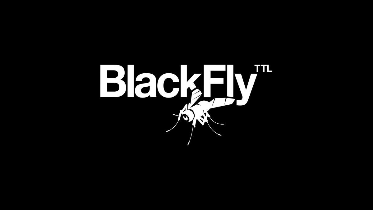 BlackFly TTL logo - still frame for an animated logo lockup.